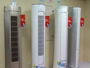 酷暑催熱婁底 夏日經(jīng)濟(jì) 一店一天賣4千斤西瓜